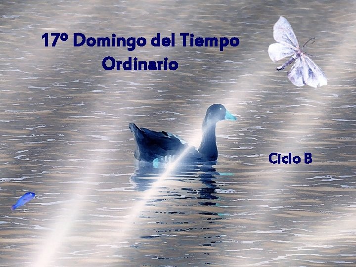 17º Domingo del Tiempo Ordinario Ciclo B 