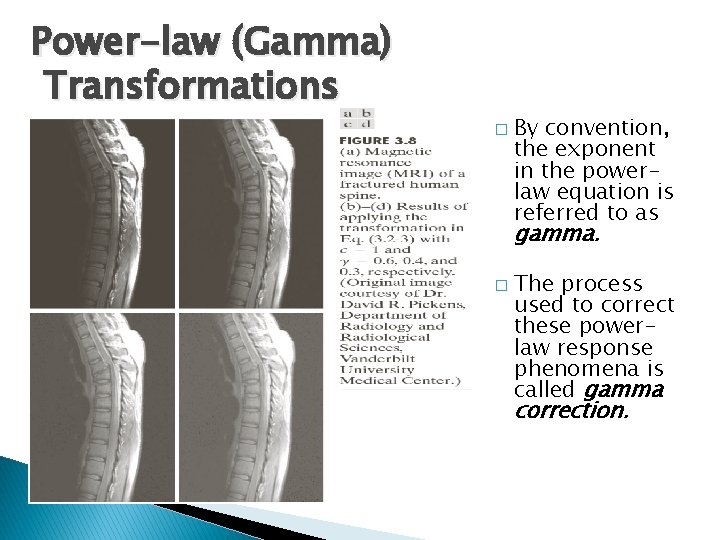 Power-law (Gamma) Transformations � By convention, the exponent in the powerlaw equation is referred