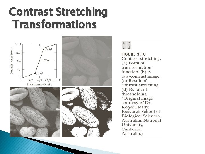Contrast Stretching Transformations 