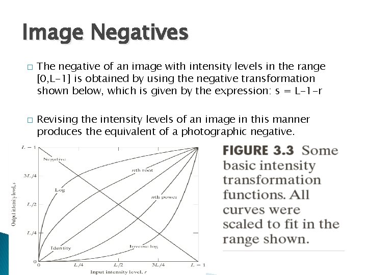 Image Negatives � � The negative of an image with intensity levels in the
