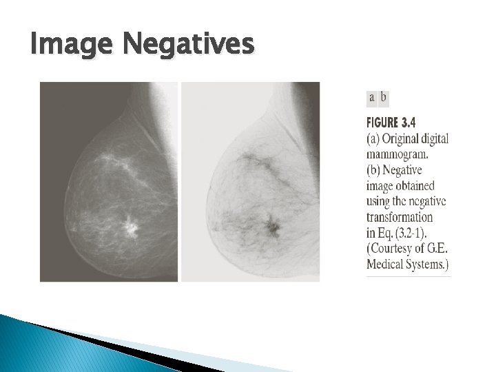 Image Negatives 