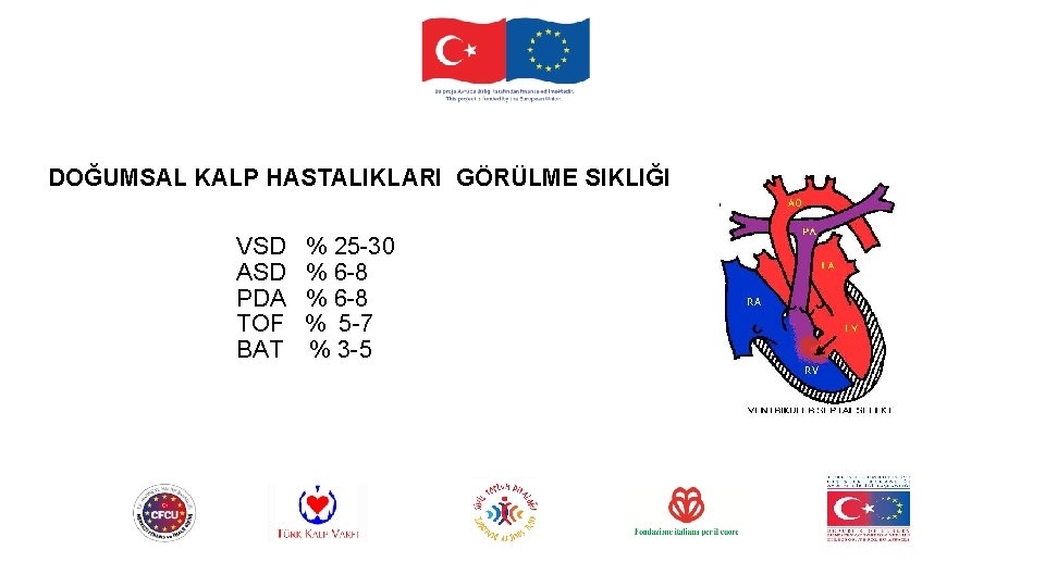 DOĞUMSAL KALP HASTALIKLARI GÖRÜLME SIKLIĞI VSD ASD PDA TOF BAT % 25 -30 %