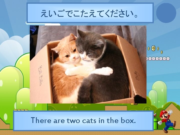 えいごでこたえてください。 There are two cats in the box. 
