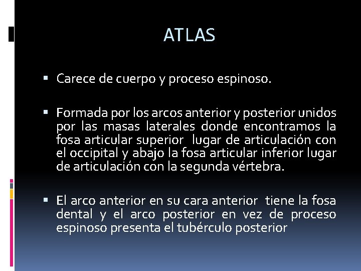 ATLAS Carece de cuerpo y proceso espinoso. Formada por los arcos anterior y posterior