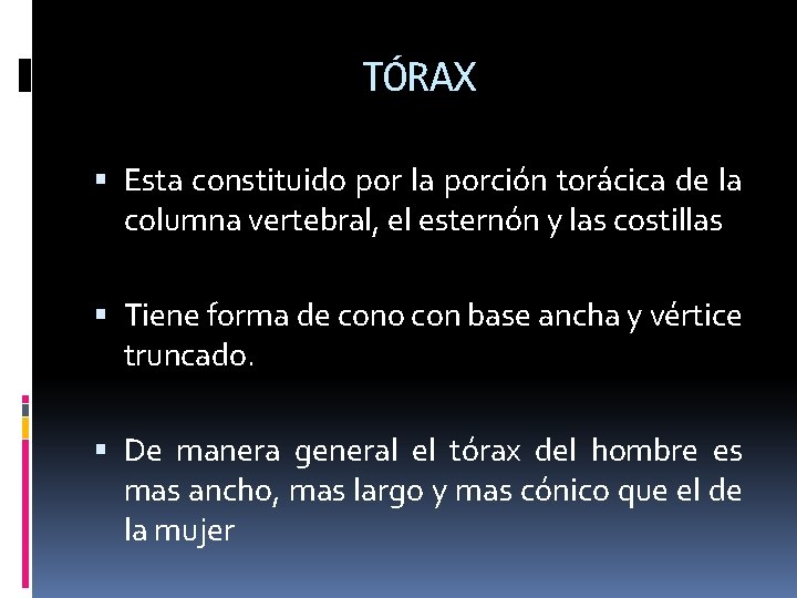 TÓRAX Esta constituido por la porción torácica de la columna vertebral, el esternón y