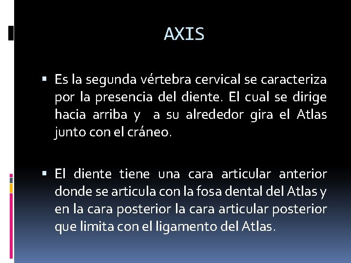AXIS Es la segunda vértebra cervical se caracteriza por la presencia del diente. El