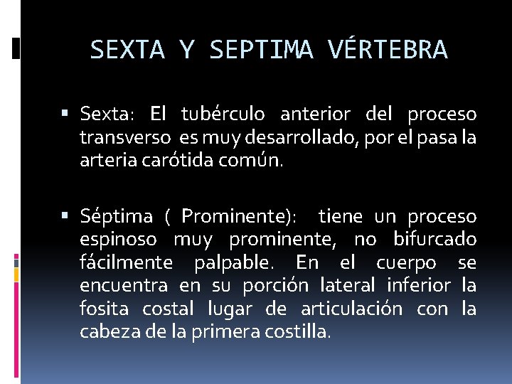 SEXTA Y SEPTIMA VÉRTEBRA Sexta: El tubérculo anterior del proceso transverso es muy desarrollado,