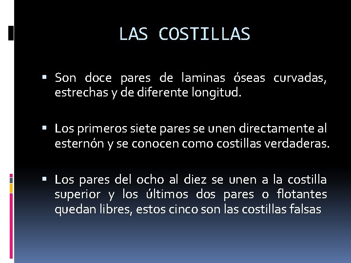 LAS COSTILLAS Son doce pares de laminas óseas curvadas, estrechas y de diferente longitud.