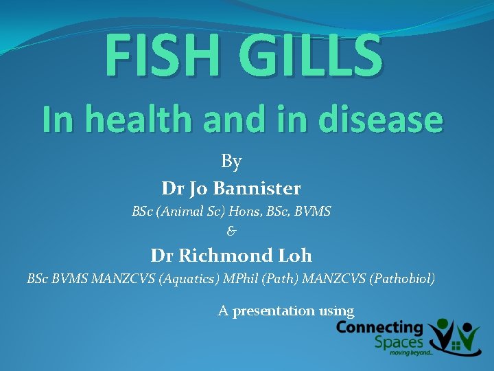 FISH GILLS In health and in disease By Dr Jo Bannister BSc (Animal Sc)