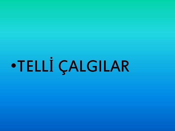  • TELLİ ÇALGILAR 