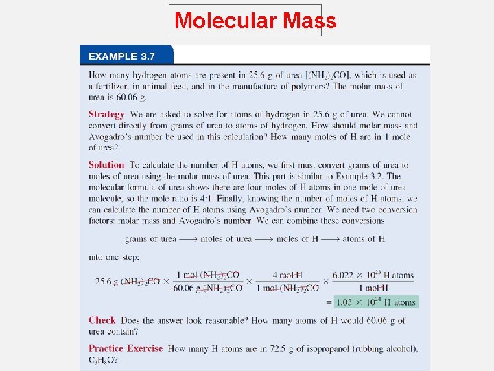 Molecular Mass 