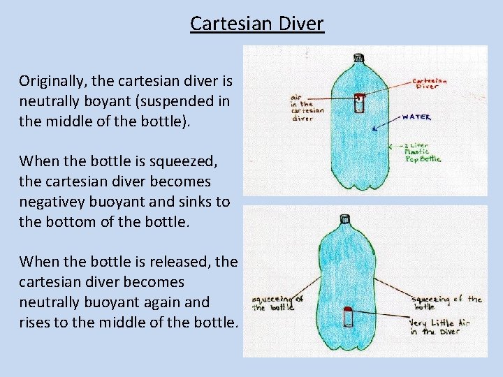 Cartesian Diver Originally, the cartesian diver is neutrally boyant (suspended in the middle of