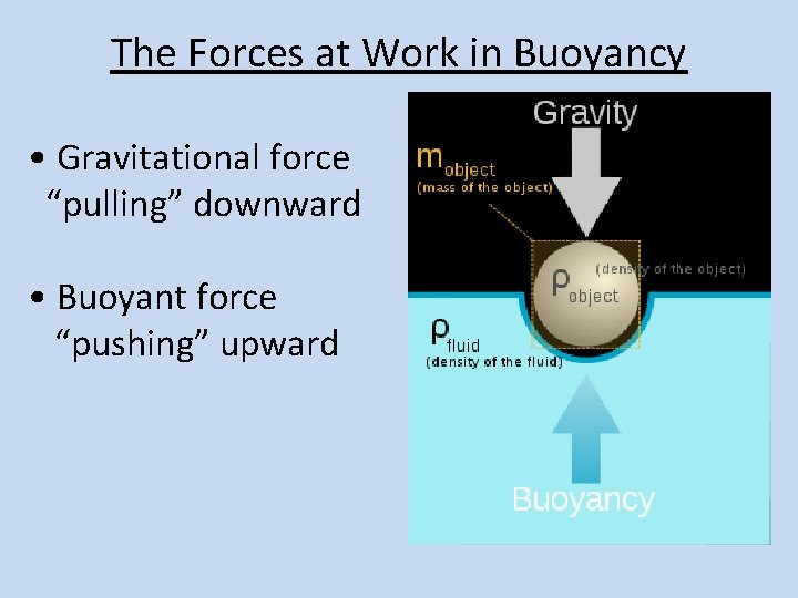 The Forces at Work in Buoyancy • Gravitational force “pulling” downward • Buoyant force