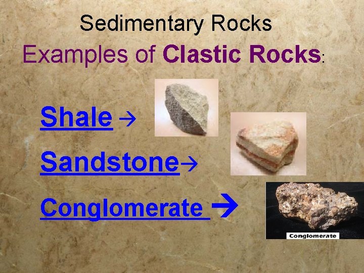 Sedimentary Rocks Examples of Clastic Rocks: Shale Sandstone Conglomerate 