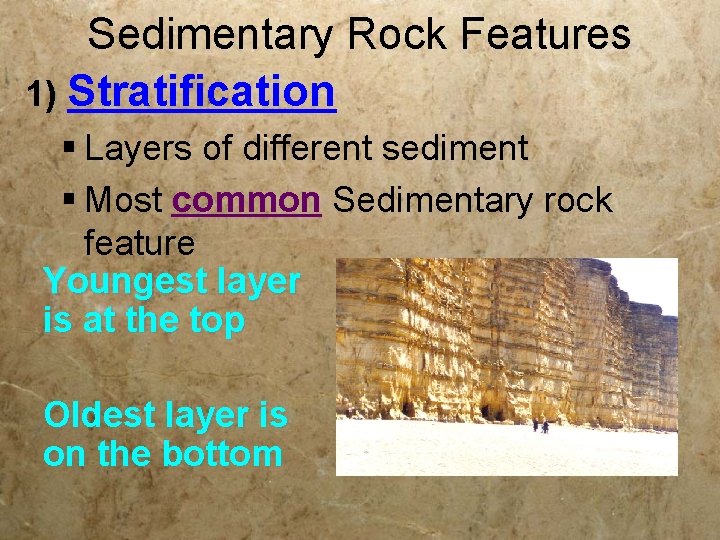 Sedimentary Rock Features 1) Stratification § Layers of different sediment § Most common Sedimentary