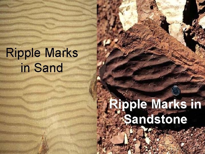 Ripple Marks in Sandstone 