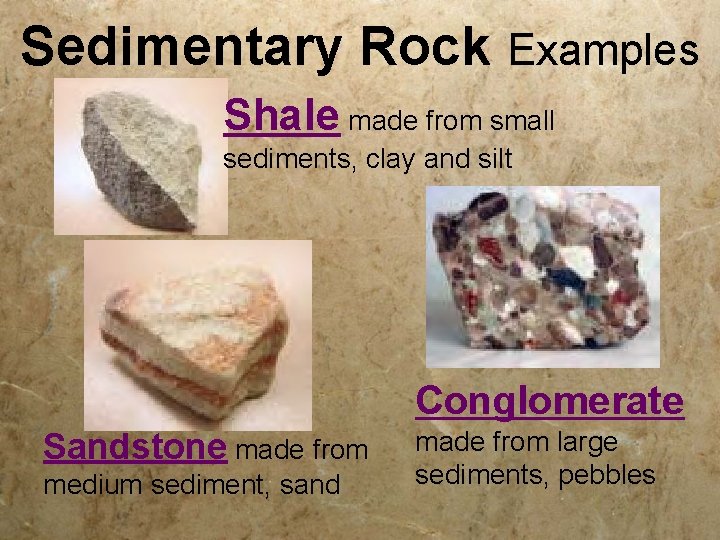 Sedimentary Rock Examples Shale made from small sediments, clay and silt Conglomerate Sandstone made