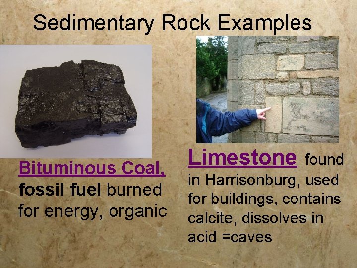 Sedimentary Rock Examples Bituminous Coal, fossil fuel burned for energy, organic Limestone found in
