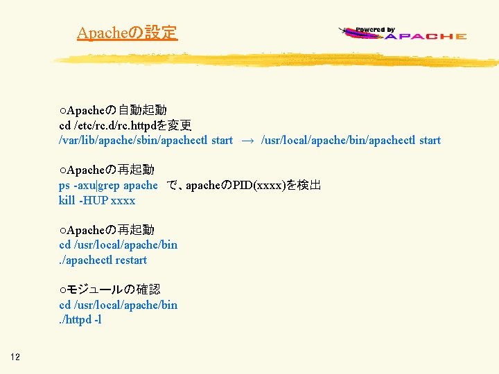 Apacheの設定 ○Apacheの自動起動 cd /etc/rc. d/rc. httpdを変更 /var/lib/apache/sbin/apachectl start → /usr/local/apache/bin/apachectl start ○Apacheの再起動 ps -axu|grep