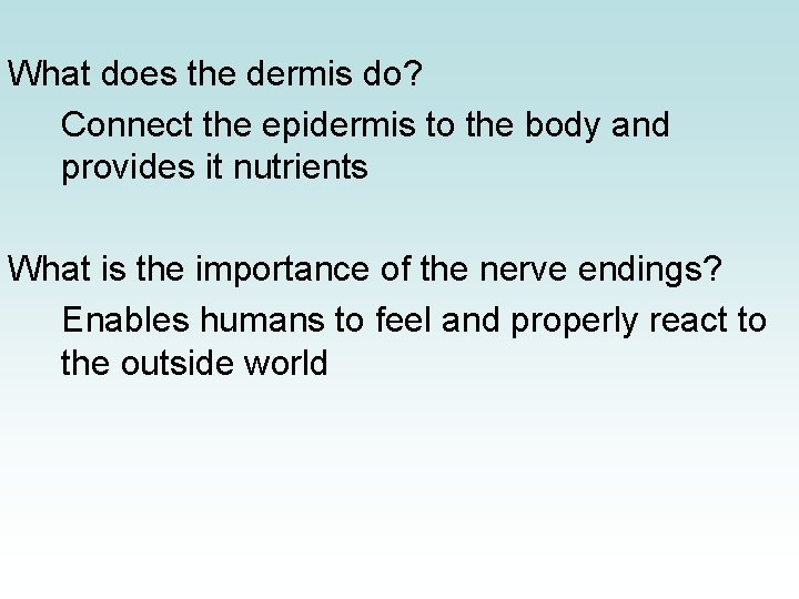 What does the dermis do? Connect the epidermis to the body and provides it