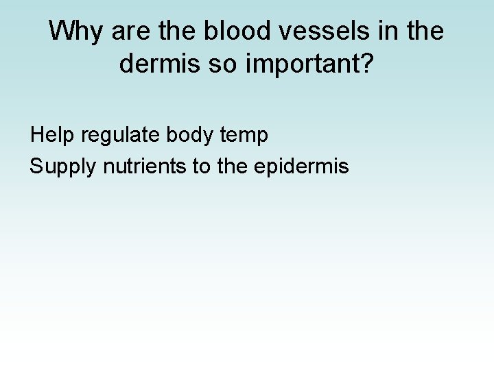 Why are the blood vessels in the dermis so important? Help regulate body temp