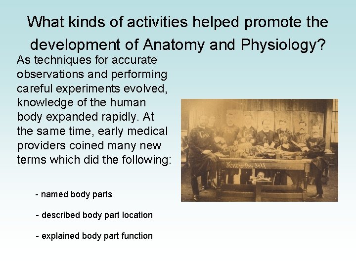 What kinds of activities helped promote the development of Anatomy and Physiology? As techniques