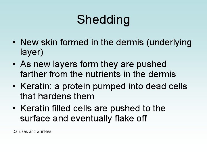 Shedding • New skin formed in the dermis (underlying layer) • As new layers