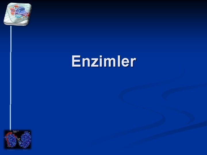 Enzimler 