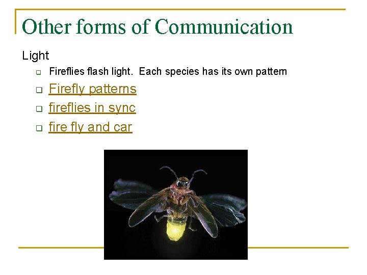 Insects Communication Example Insect Behavior Ch 37 2 Communication n n