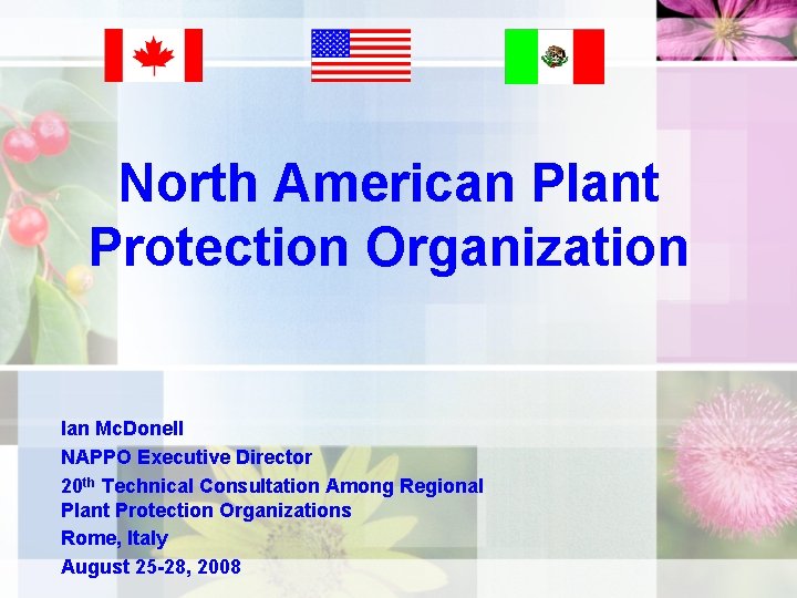 North American Plant Protection Organization Ian Mc. Donell NAPPO Executive Director 20 th Technical