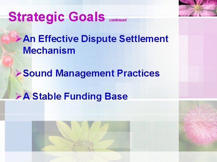 Strategic Goals continued ØAn Effective Dispute Settlement Mechanism ØSound Management Practices ØA Stable Funding