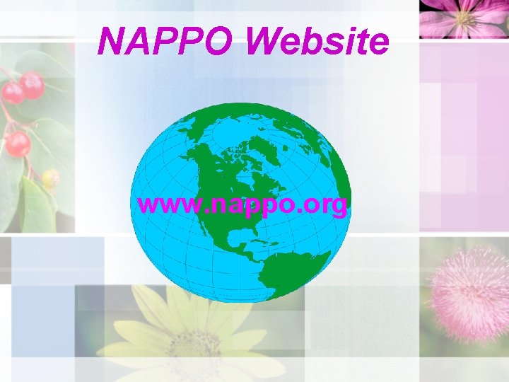 NAPPO Website www. nappo. org 