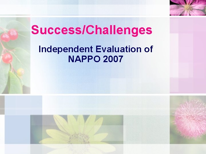 Success/Challenges Independent Evaluation of NAPPO 2007 