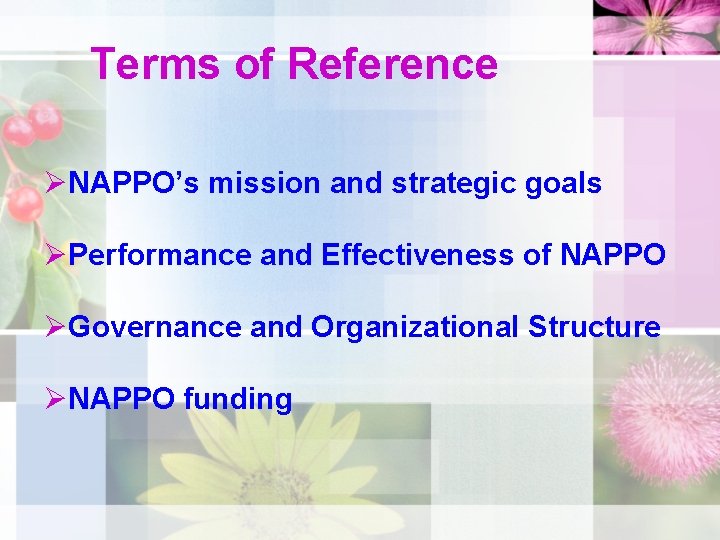 Terms of Reference ØNAPPO’s mission and strategic goals ØPerformance and Effectiveness of NAPPO ØGovernance