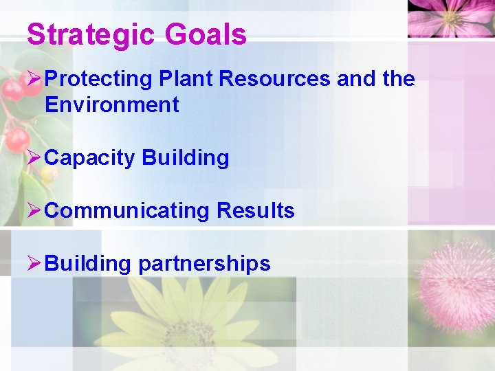 Strategic Goals ØProtecting Plant Resources and the Environment ØCapacity Building ØCommunicating Results ØBuilding partnerships