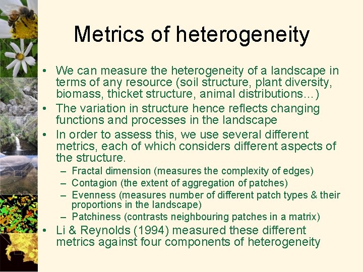 Metrics of heterogeneity • We can measure the heterogeneity of a landscape in terms