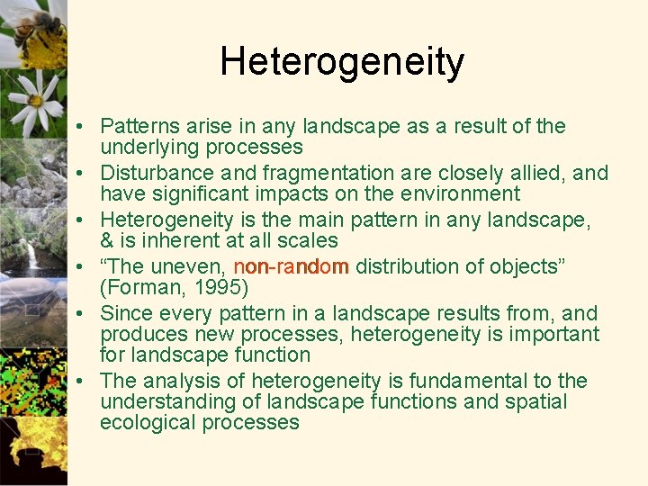 Heterogeneity • Patterns arise in any landscape as a result of the underlying processes