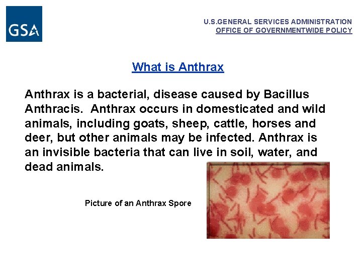 U. S. GENERAL SERVICES ADMINISTRATION OFFICE OF GOVERNMENTWIDE POLICY What is Anthrax is a