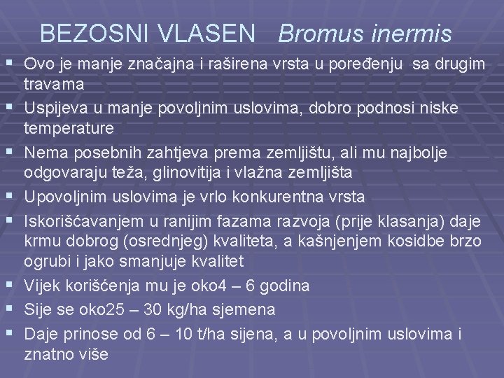 BEZOSNI VLASEN Bromus inermis § Ovo je manje značajna i raširena vrsta u poređenju