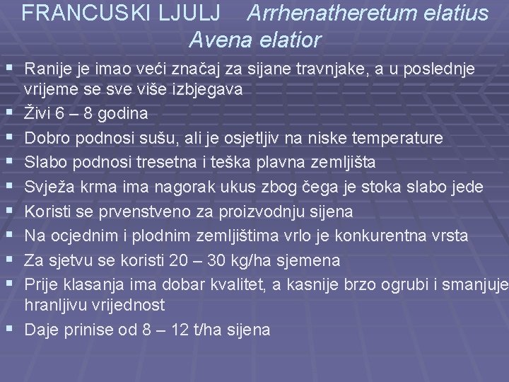 FRANCUSKI LJULJ Arrhenatheretum elatius Avena elatior § Ranije je imao veći značaj za sijane