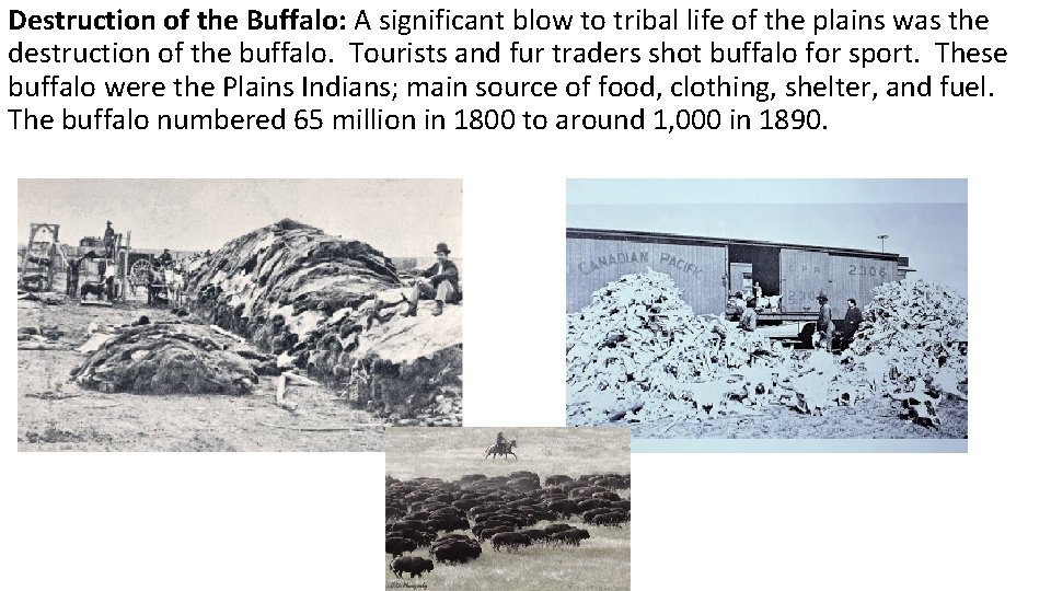 Destruction of the Buffalo: A significant blow to tribal life of the plains was