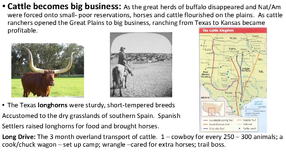  • Cattle becomes big business: As the great herds of buffalo disappeared and