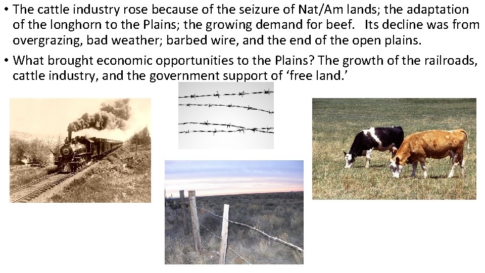  • The cattle industry rose because of the seizure of Nat/Am lands; the