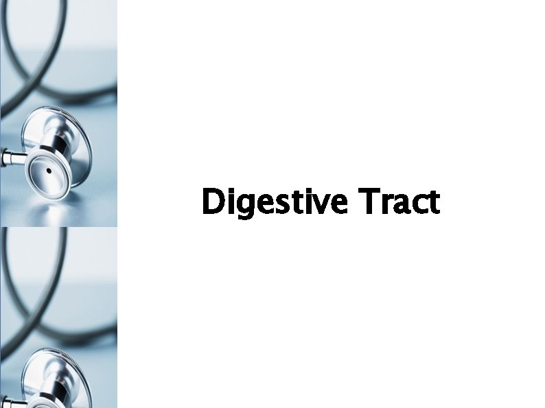 Digestive Tract 