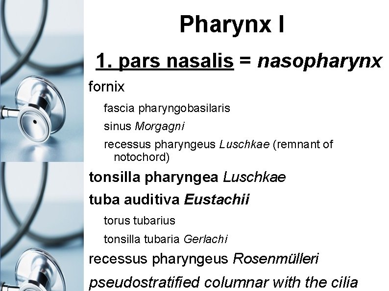 Pharynx I 1. pars nasalis = nasopharynx fornix fascia pharyngobasilaris sinus Morgagni recessus pharyngeus