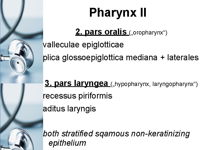 Pharynx II 2. pars oralis („oropharynx“) valleculae epiglotticae plica glossoepiglottica mediana + laterales 3.