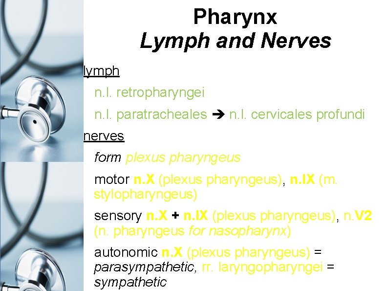 Pharynx Lymph and Nerves lymph n. l. retropharyngei n. l. paratracheales n. l. cervicales