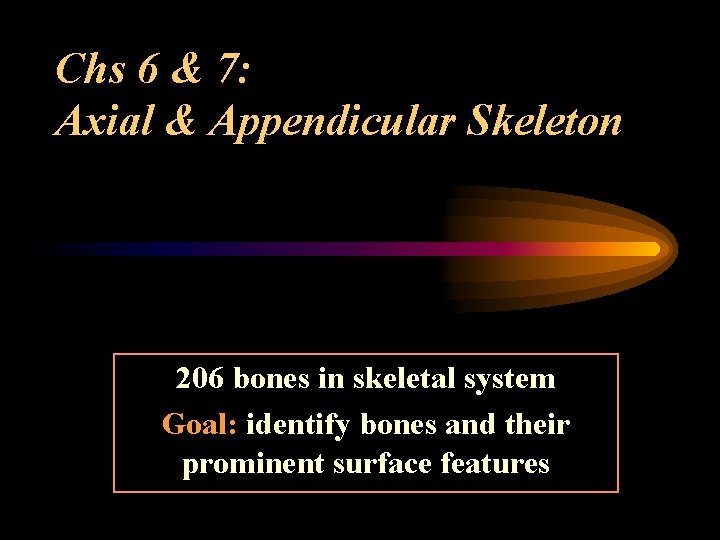 Chs 6 & 7: Axial & Appendicular Skeleton 206 bones in skeletal system Goal: