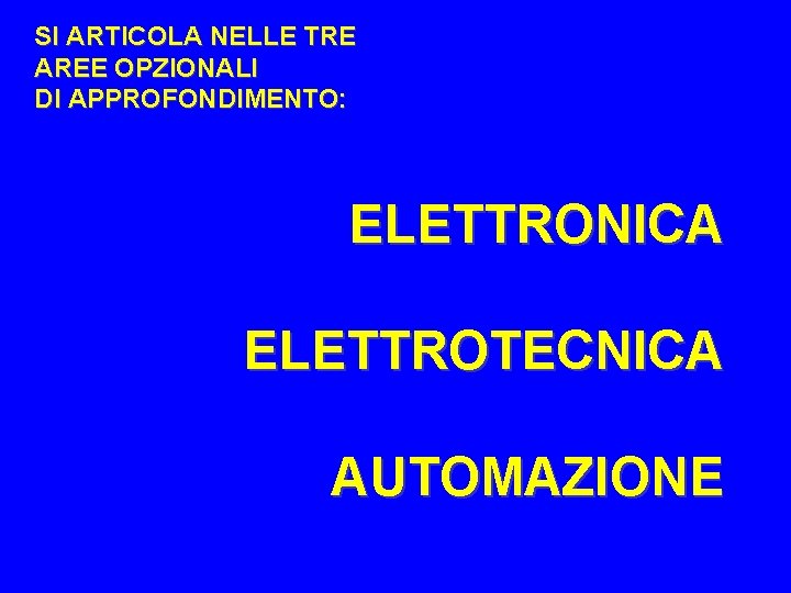 SI ARTICOLA NELLE TRE AREE OPZIONALI DI APPROFONDIMENTO: ELETTRONICA ELETTROTECNICA AUTOMAZIONE 