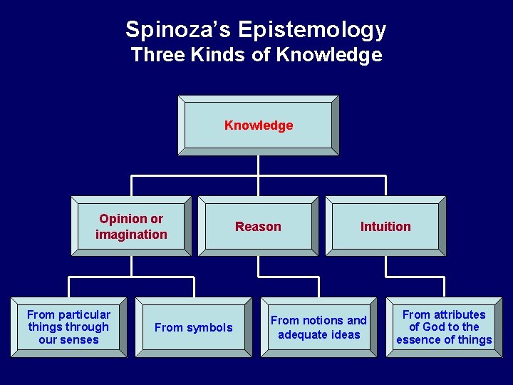 Spinoza’s Epistemology Three Kinds of Knowledge Opinion or imagination From particular things through our